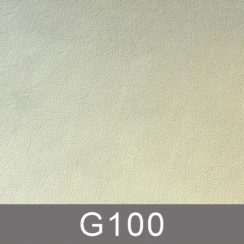 g100-n g100-n