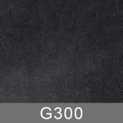 g300-n g300-n